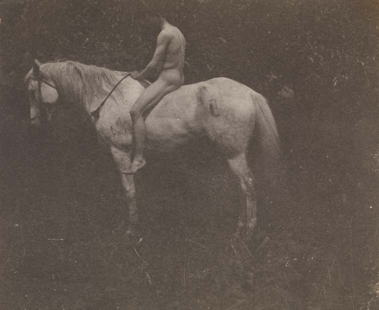 Samuel Murray nude,on Thomas Eakins's horse Billy