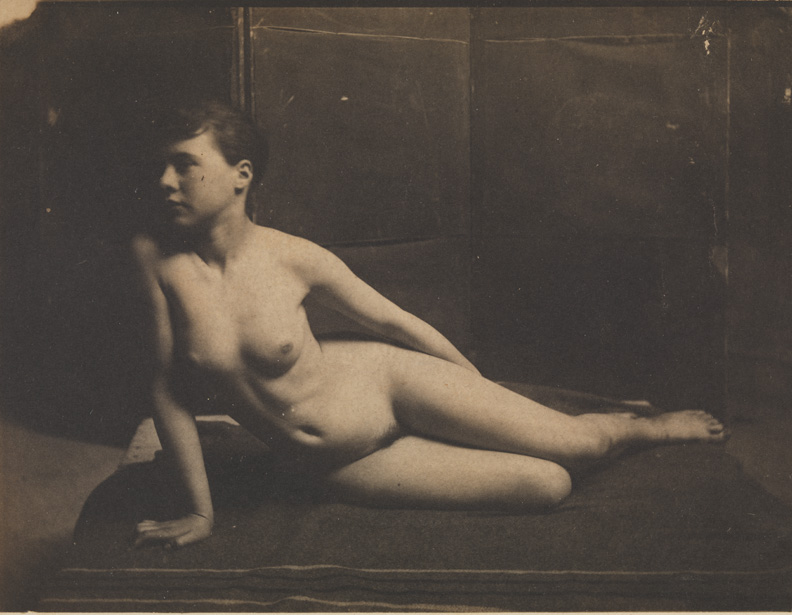 Female nude, semireclining