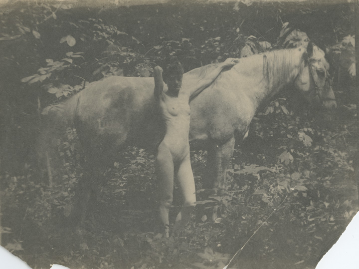 Susan Macdowell Eakins nude, left arm resting on neck of Thomas Eakins's horse Billy