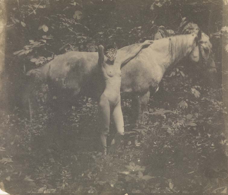 Susan Macdowell Eakins nude, left arm resting on neck of Thomas Eakins's horse Billy