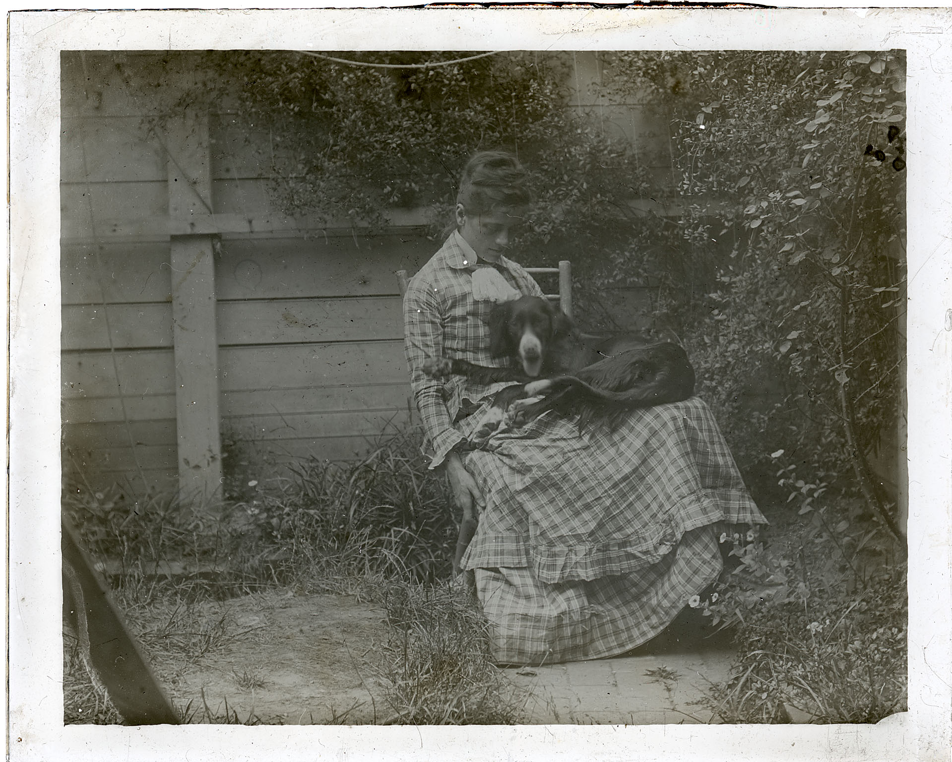 Susan MacDowell sitting with setter in yard