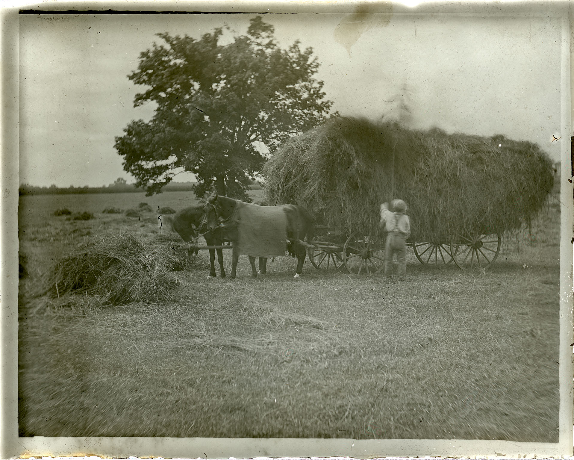 Landscape with man pitching hay into wagon