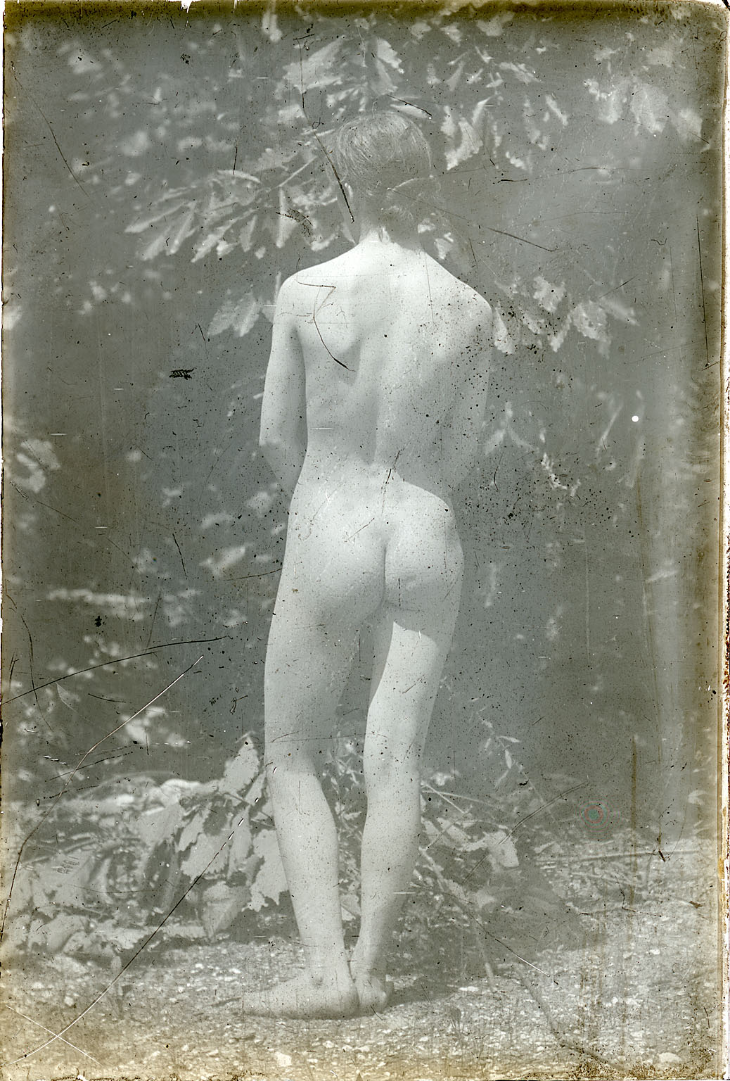 Susan Macdowell Eakins nude, from rear
