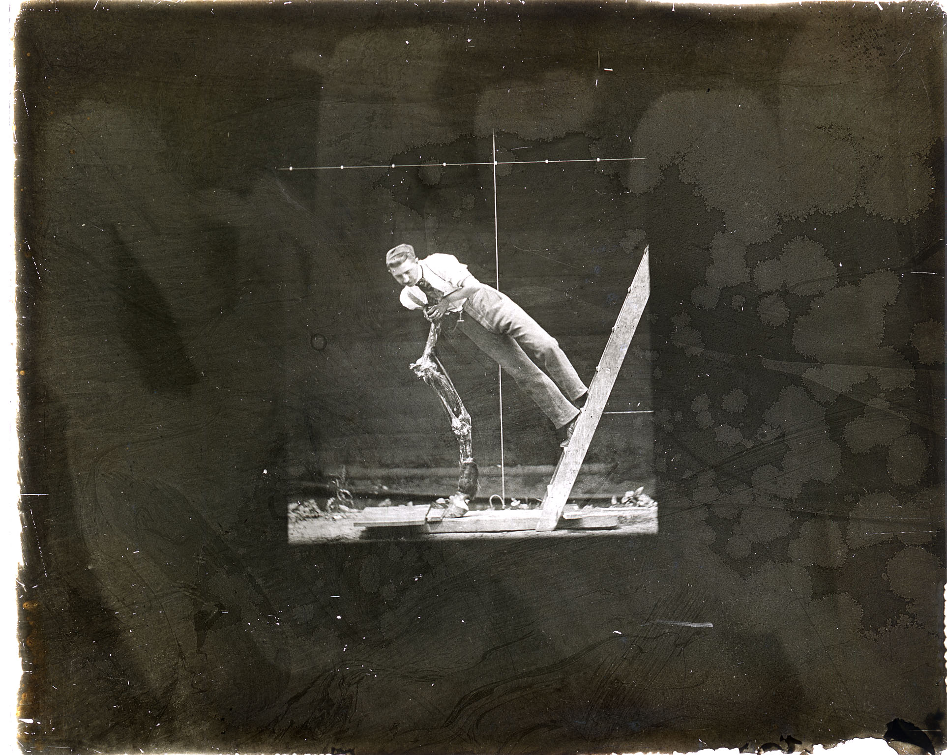 Differential-action study: Man on ladder, leaning on horse's stripped foreleg