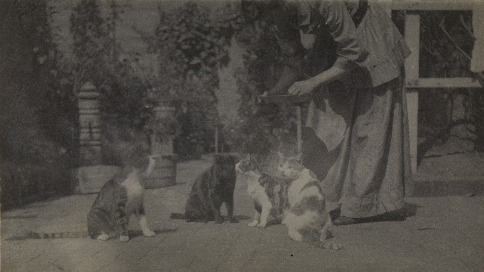 Susan Macdowell Eakins and cats in yard of the family home at 1729 Mount Vernon Street, Philadelphia