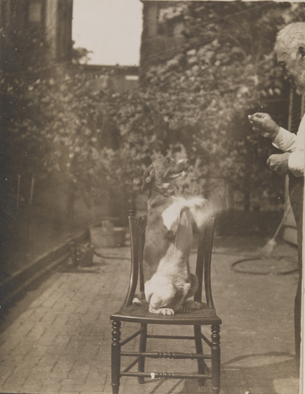 Thomas Eakins playing with his dog in yard of the family home at 1729 Mount Vernon Street, Philadelphia