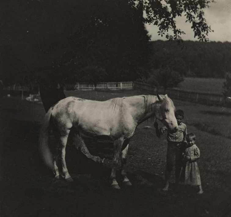 Thomas Eakins's horse Billy and two Crowell children at Avondale, Pennsylvania