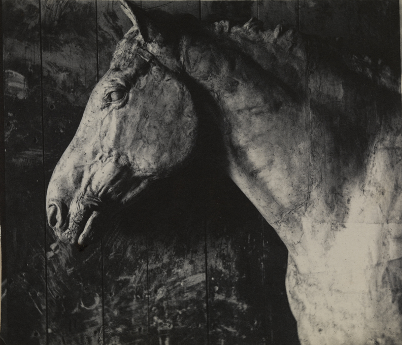 Plaster model of "Clinker", horse modelled for Brooklyn Memorial Arch, head and neck only