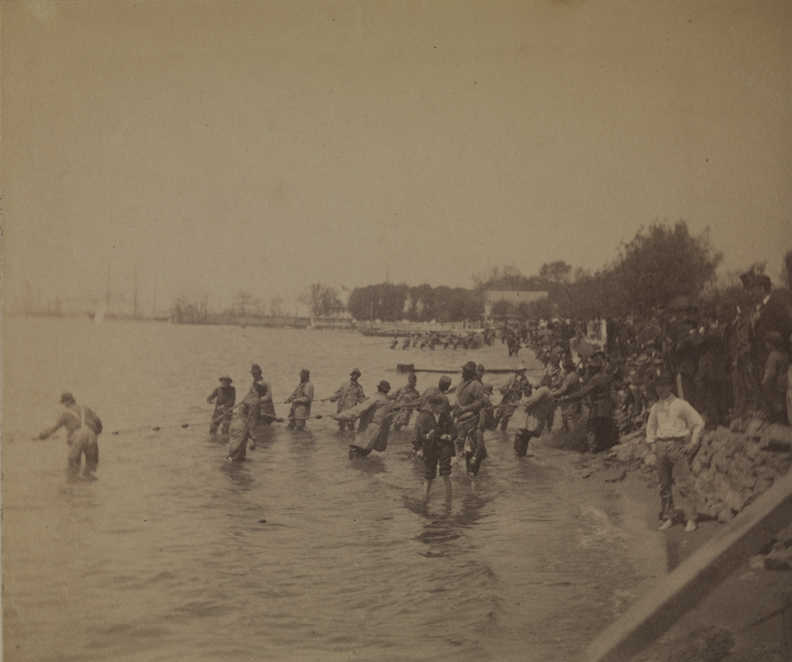 Shad fishing: hauling the net