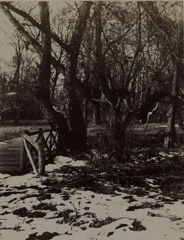 Snowy landscape with wooden bridge