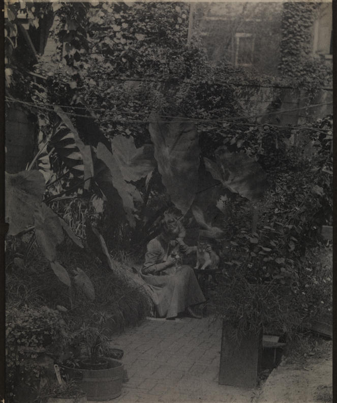 Susan Macdowell Eakins sitting with cats in yard of the family home at 1729 Mount Vernon Street, Philadelphia