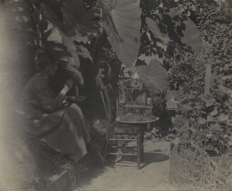 Susan Macdowell Eakins sitting with monkey in yard of the family home at 1729 Mount Vernon Street, Philadelphia
