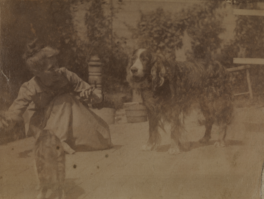 Susan Macdowell Eakins crouching with cat and setter in yard of the family home at 1729 Mount Vernon Street, Philadelphia