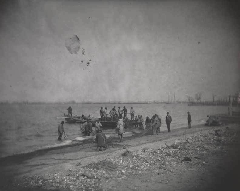 Shad fishing: setting the net