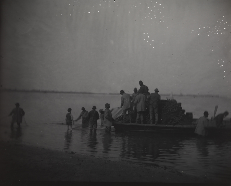 Shad fishing: setting the net