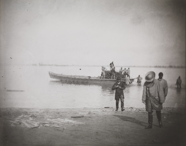 Shad fishing: setting the net