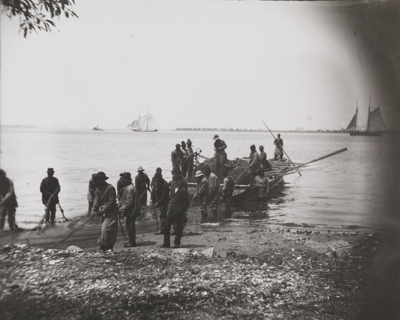 Shad Fishing: setting the net
