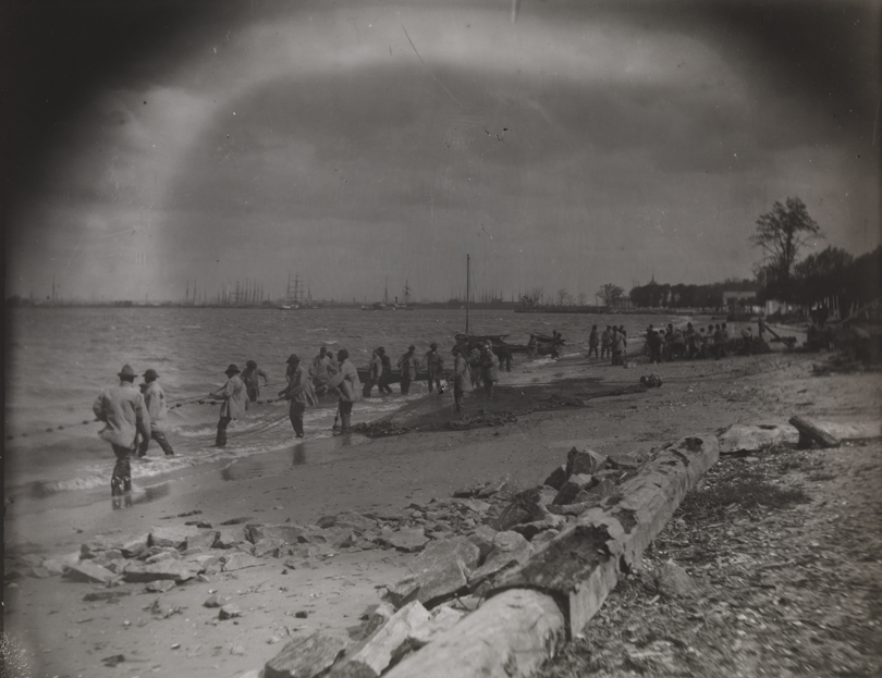 Shad fishing: hauling the net