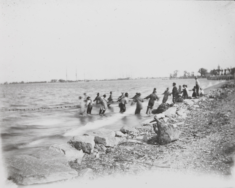 Shad fishing: hauling the net