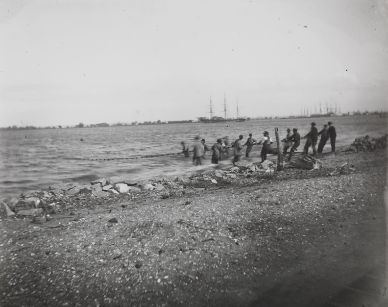 Shad fishing: hauling the net