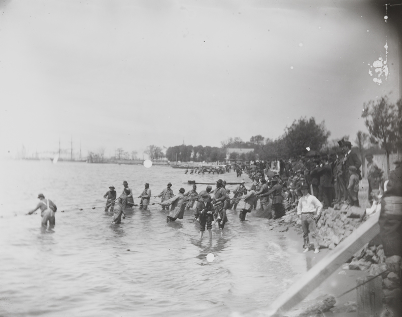 Shad fishing: hauling the net
