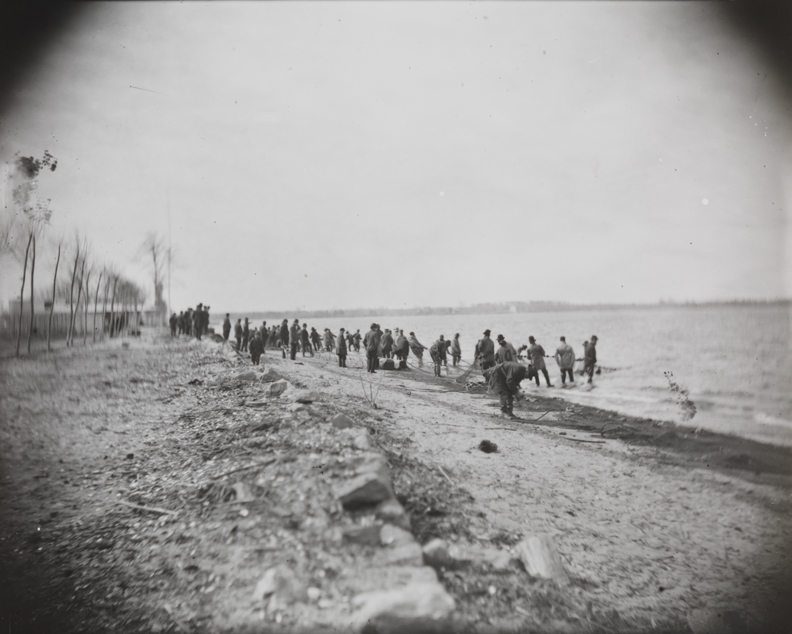 Shad fishing: hauling the net