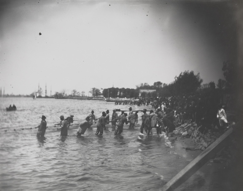 Shad fishing: hauling the net