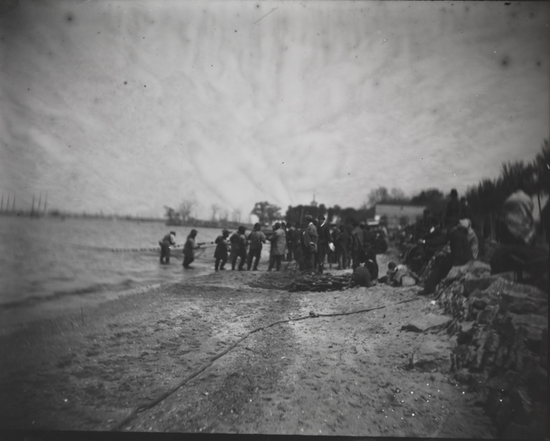 Shad fishing: hauling the net
