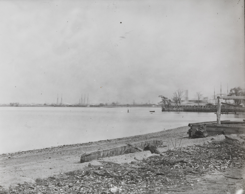 Shoreline of Delaware River with boats