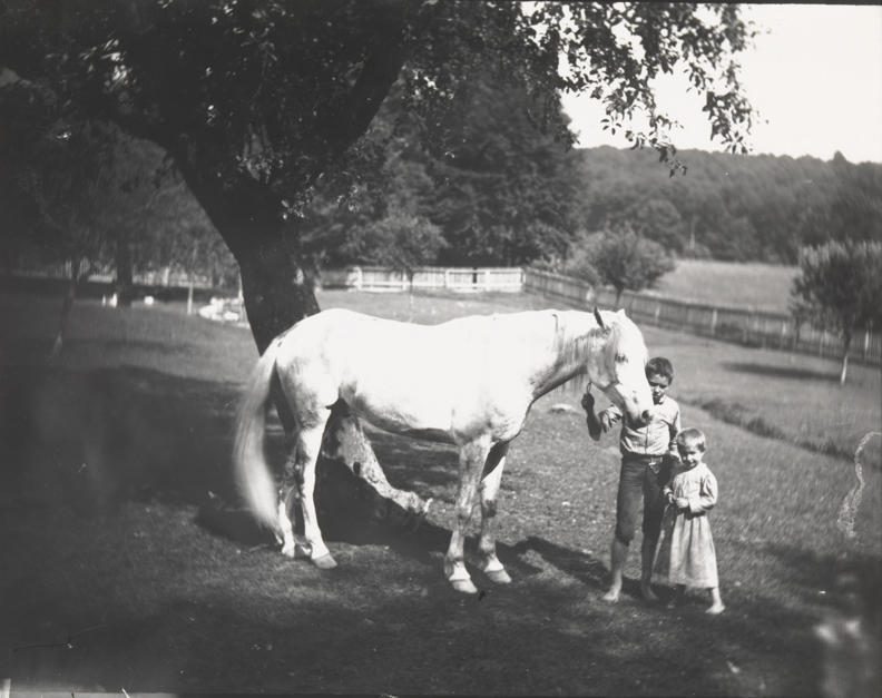 Thomas Eakins's horse Billy and two Crowell children at Avondale, Pennsylvania