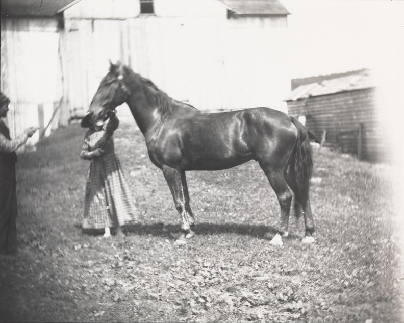 Horse with man and woman