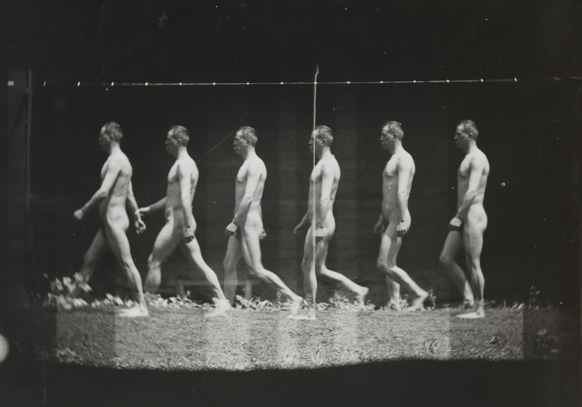 Motion study: male nude, walking to left