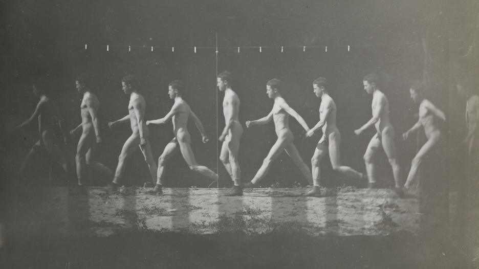 Motion study: male nude, walking to left