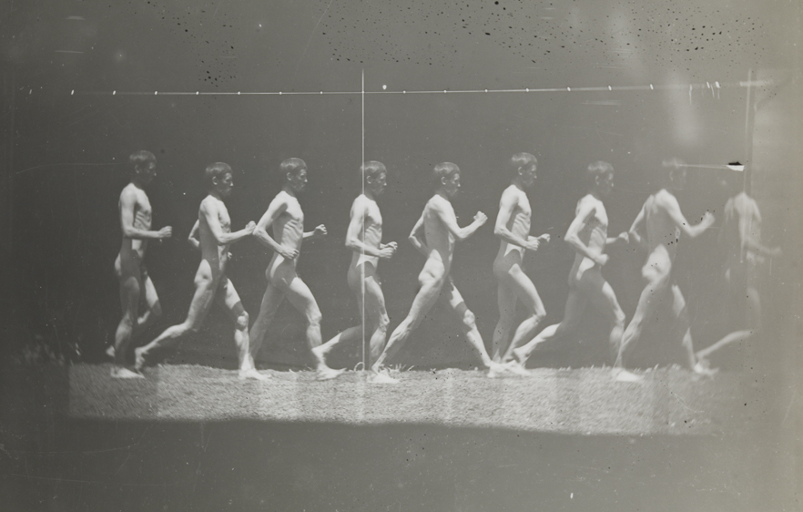 Motion study: George Reynolds nude, walking to right