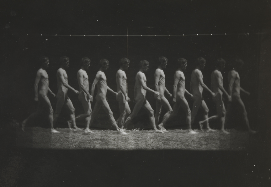 Motion study: George Reynolds nude, walking to right