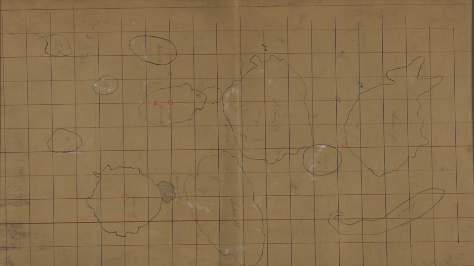 Dissection Study (?): Sections 9-15