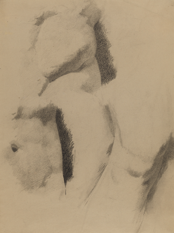 Figure Study: Nude Man's Buttocks (?), Abdomen, Knee