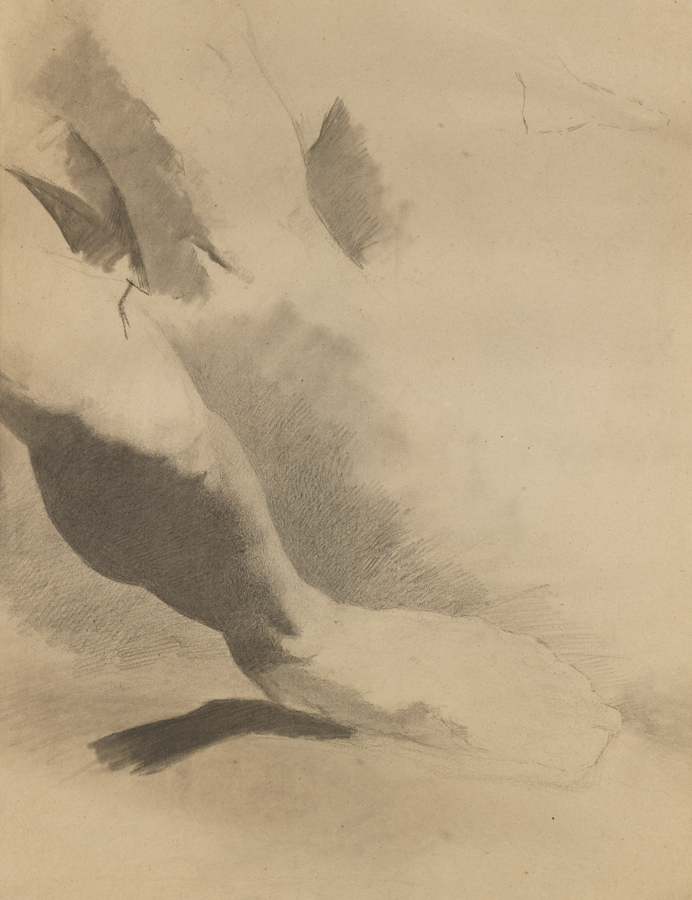 Figure Study: Nude Man's Lower Leg (r); Figure Study: Nude Man's Right Leg from Rear (v)