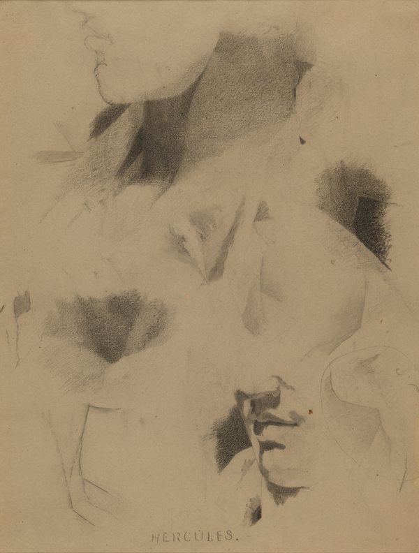 Figure Study: Hercules (Man's jaw and neck)