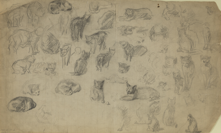 Sketches of Cats
