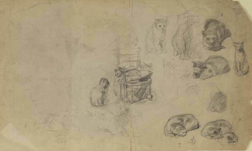 Sketches of Cats