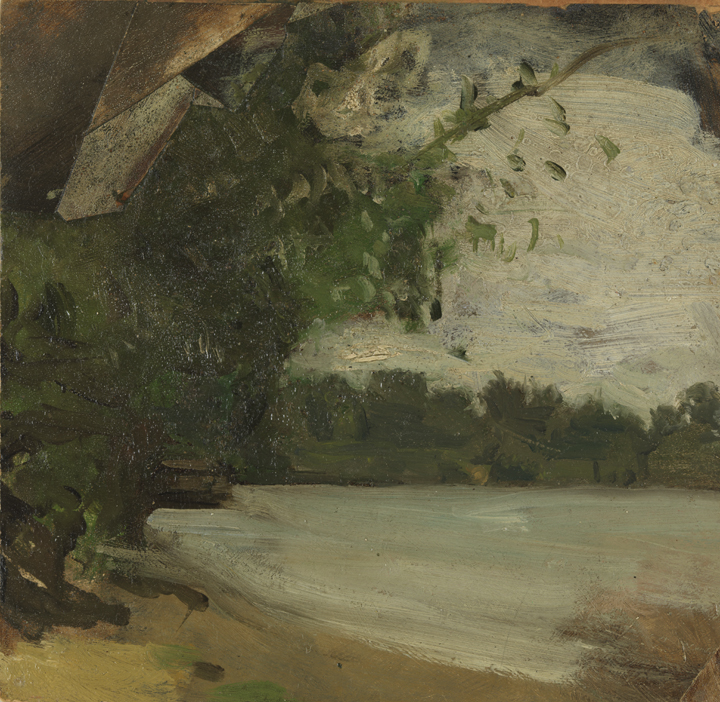 Landscape Study: Shoreline with Trees