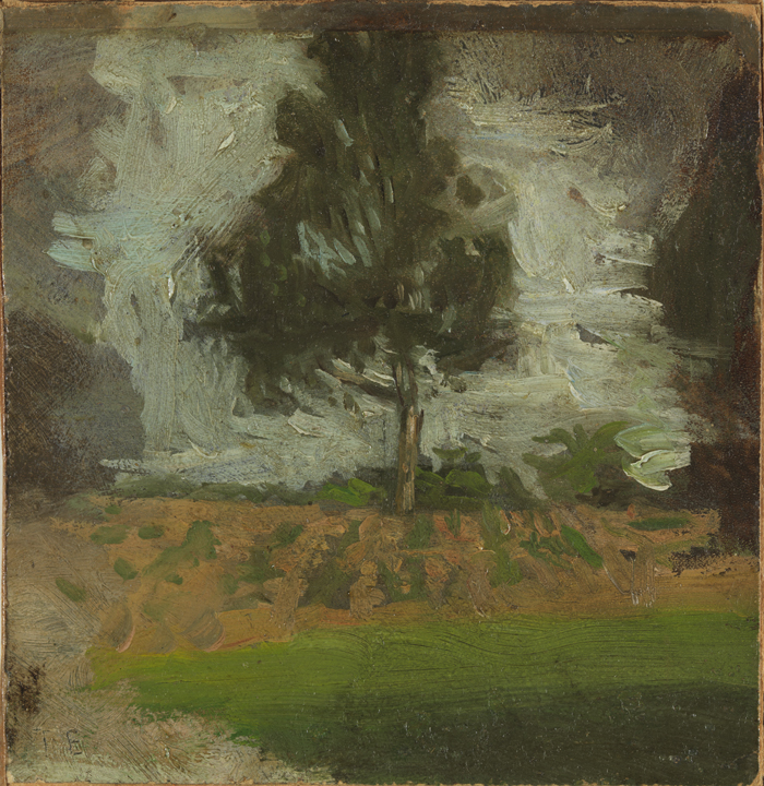 Landscape Study: Cultivated Field and Tree