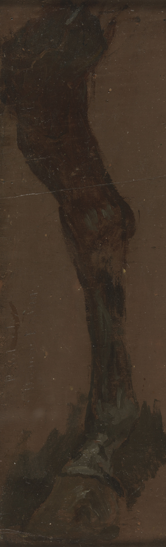 The Fairman Rogers Four-in-Hand: Study of a Horse's Leg