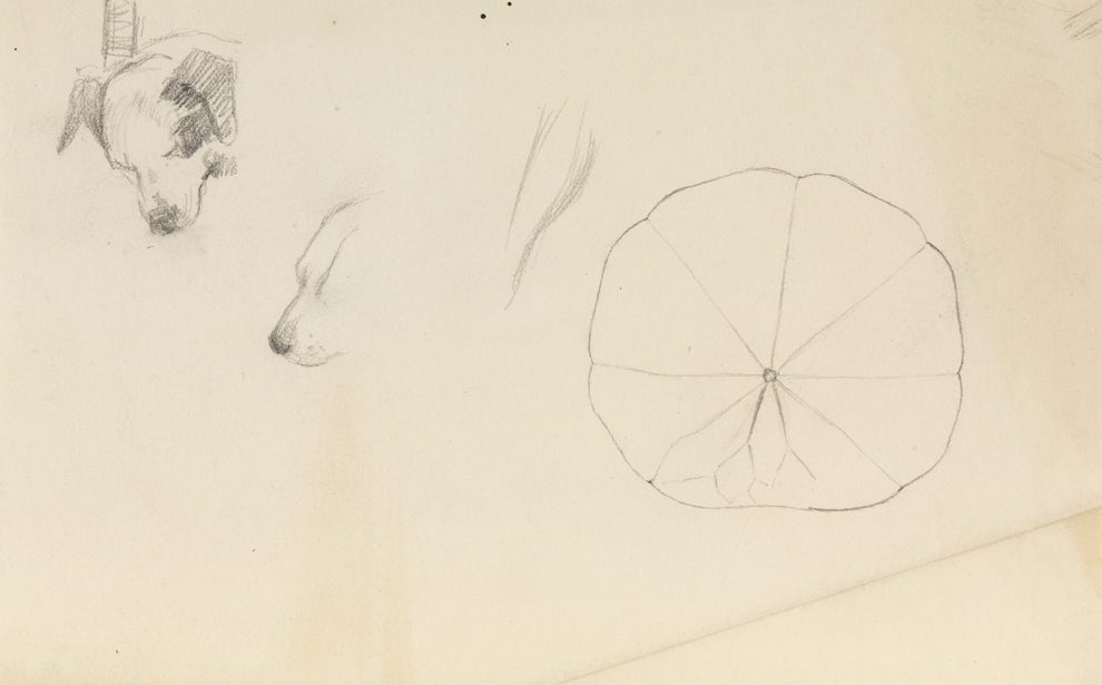 [Sketch of dog's head]