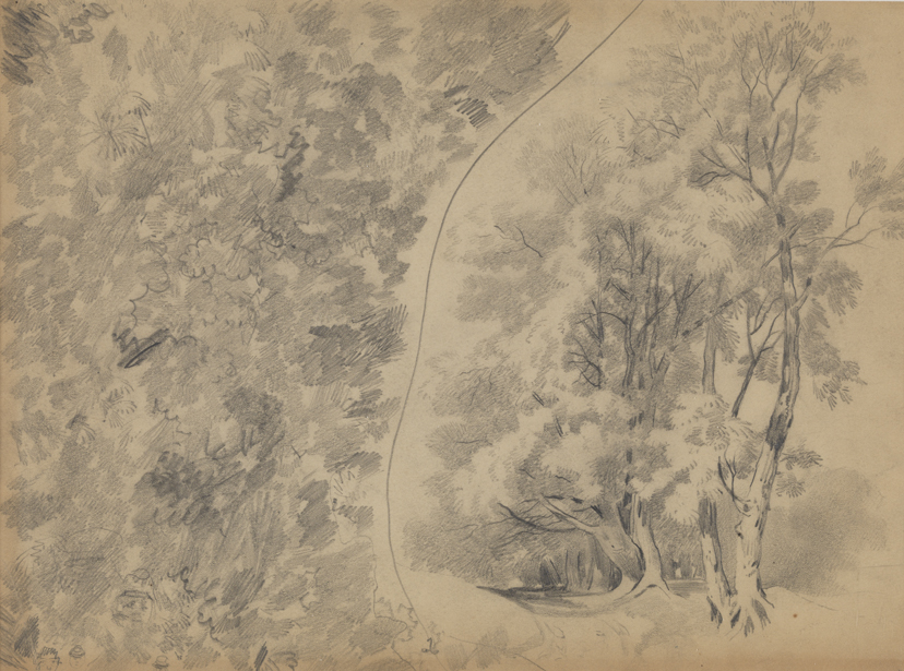 Tree and Foliage Studies (r); Foliage and Faces (v)
