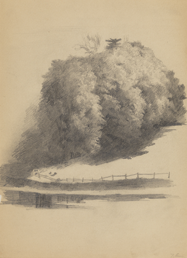 Landscape Study: Foliage, Pasture and Fence