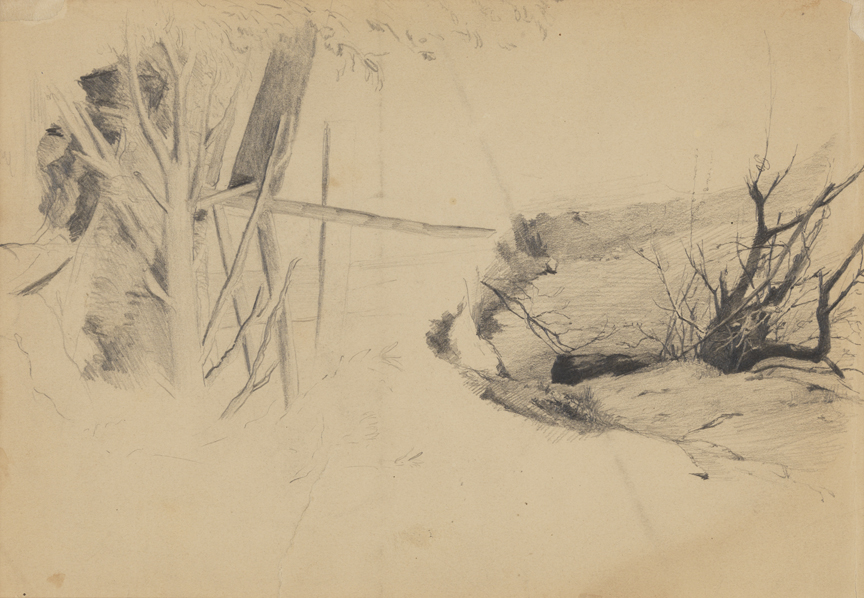 Landscape Studies: Fallen Tree; Riverbank (?) and Tree (r); Landscape Study: Covered Bridge (v)