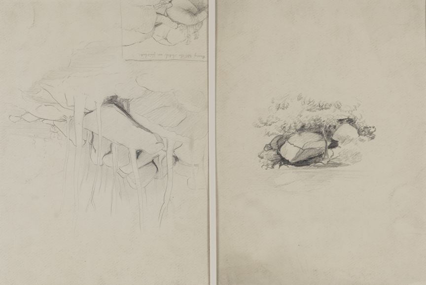 Landscape Studies: Trees and Boulders