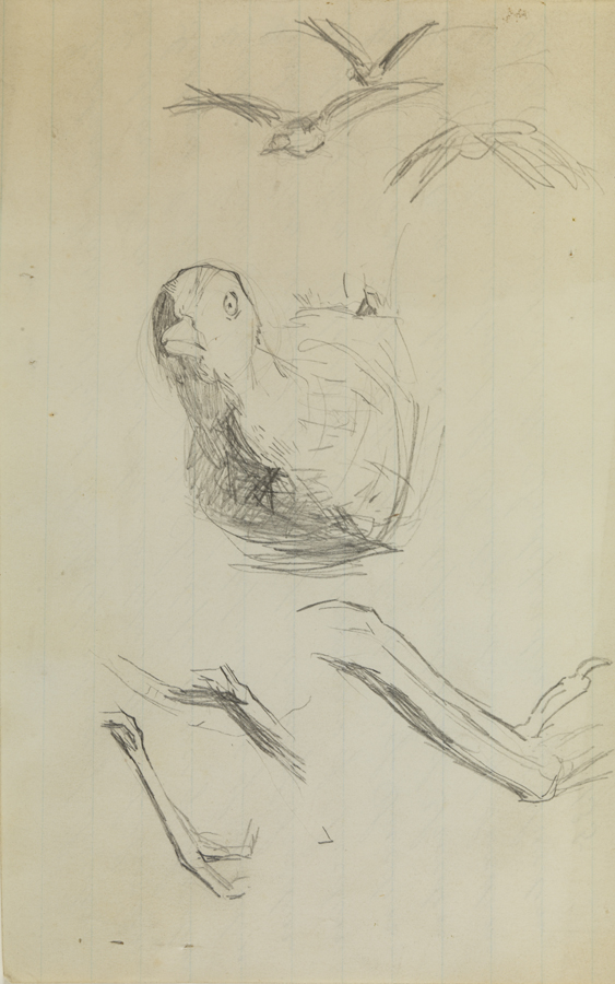 Rail Birds in Flight